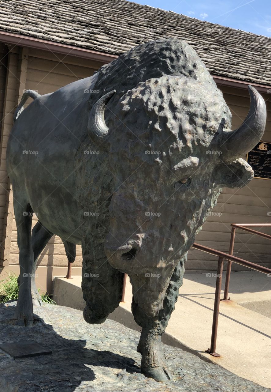 Buffalo Statue