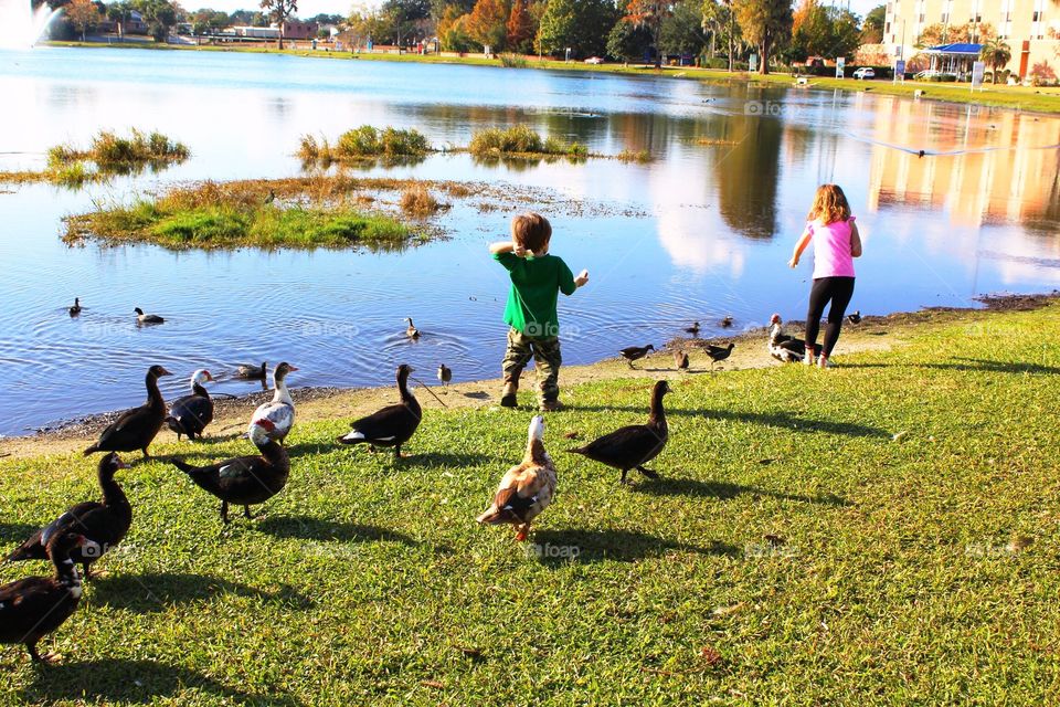 Children feeding ducks at duck pond