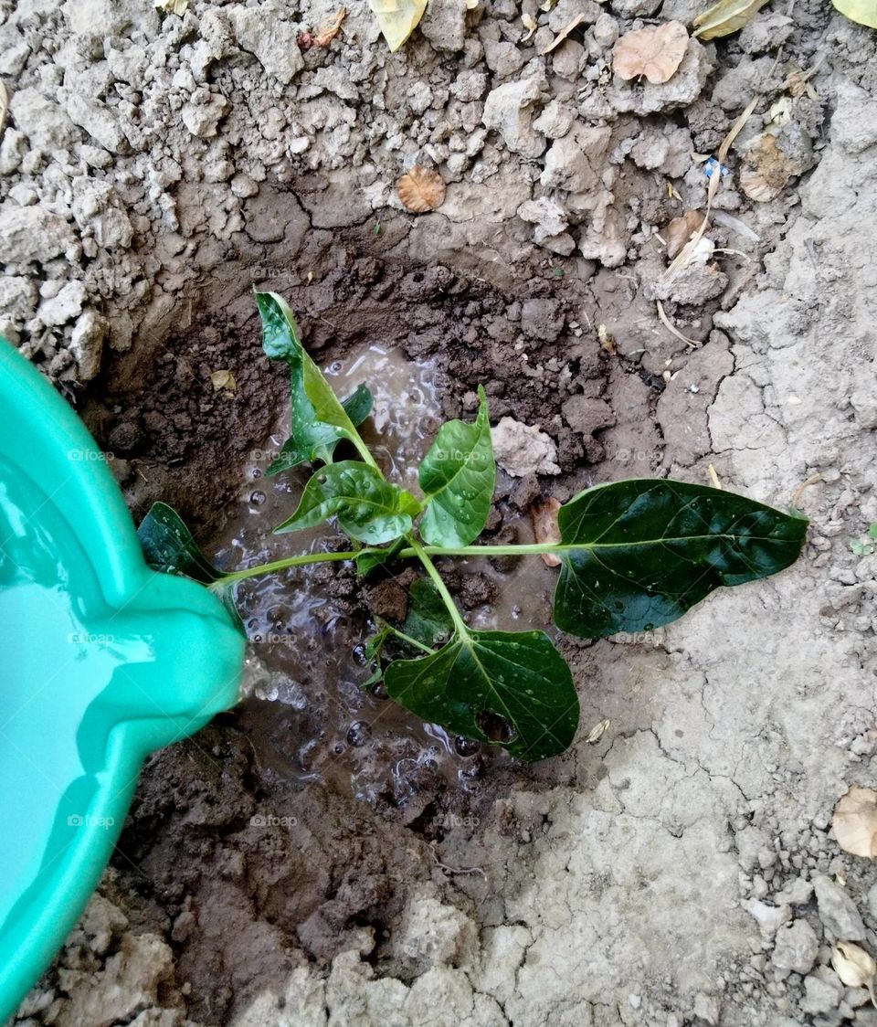 Celebrating World Earth 🌍 Day .Come together and save it .