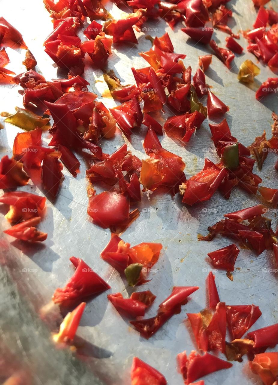 Are these a handful of red bell peppers waiting to dry up or a school of free red fishes swimming in silver waters? Where is the borderline between reality and fantasy, between despair and hope?