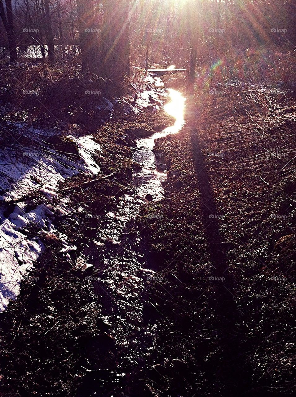 Sunlit stream