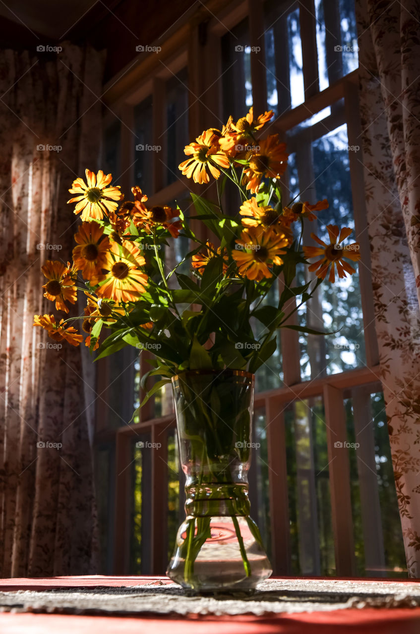 Vase with orange flowers in a ray of light.