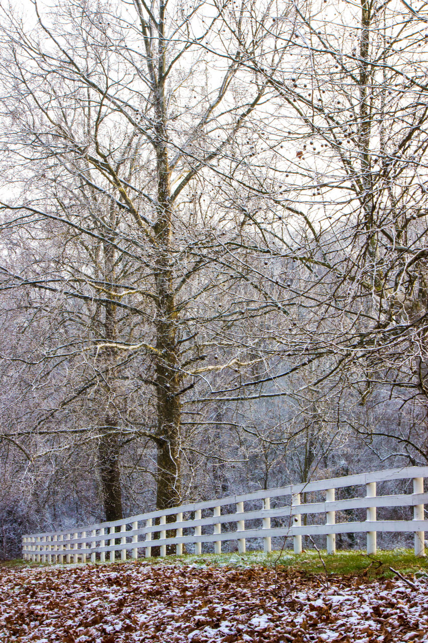 Scenic view of white fence and trees
