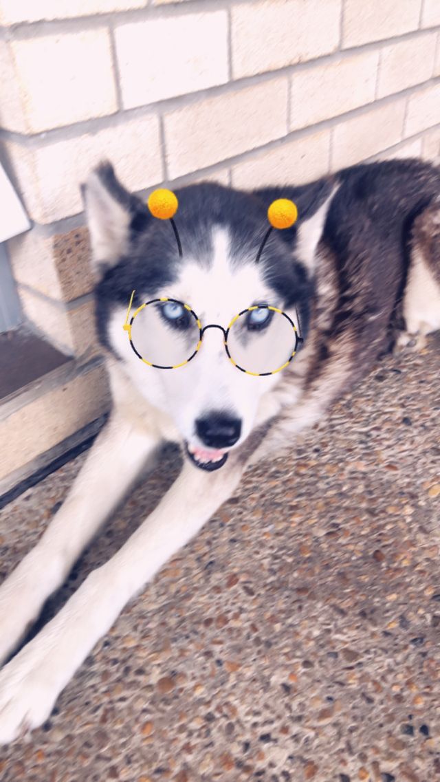 Fun with filters 