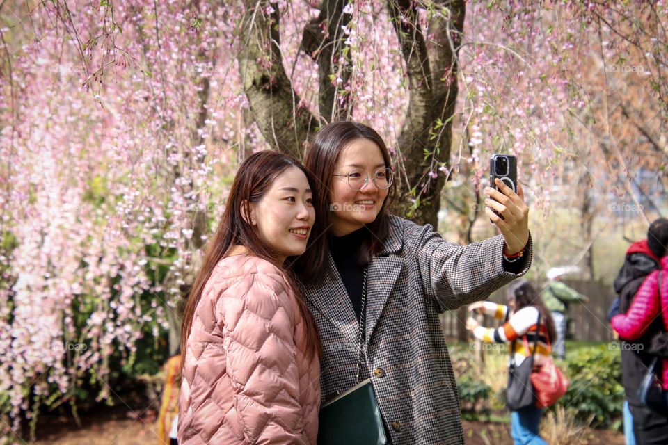 Two women are enjoying cherry blossom