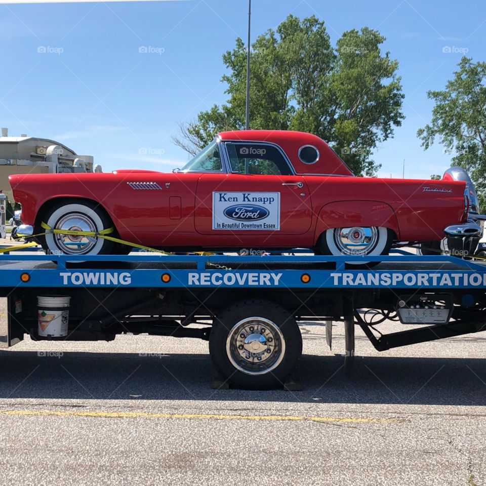 1956 Ford Thunderbird