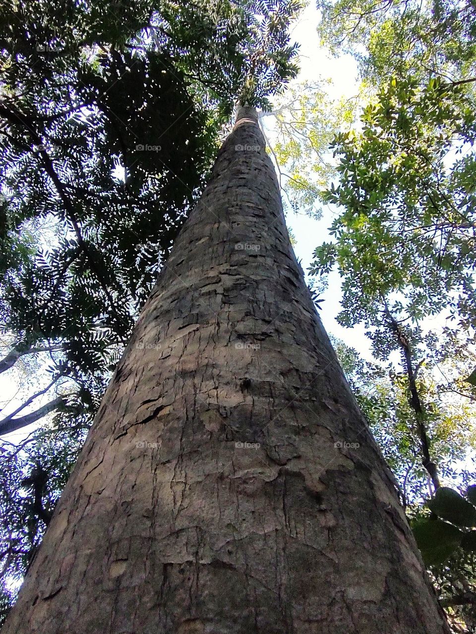 Indaiatuba Ecological Park