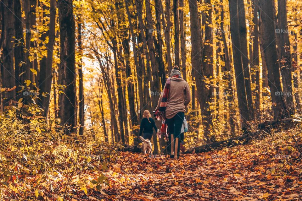 Family in a golden autumn forest