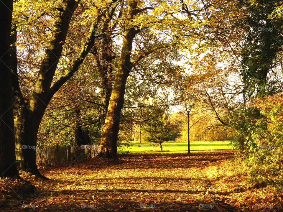 park in the fall