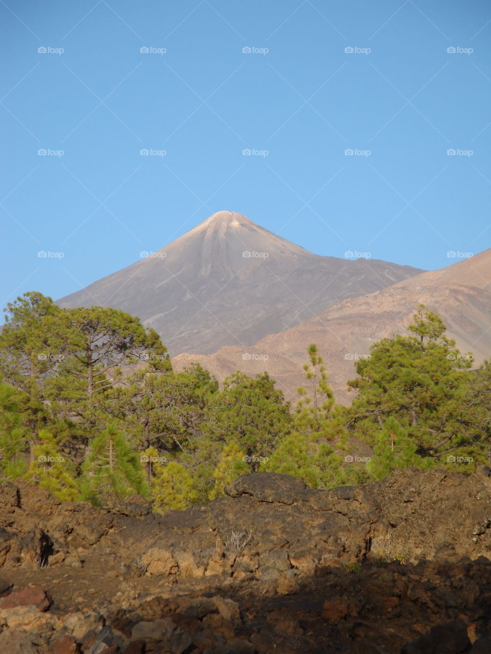 Teide