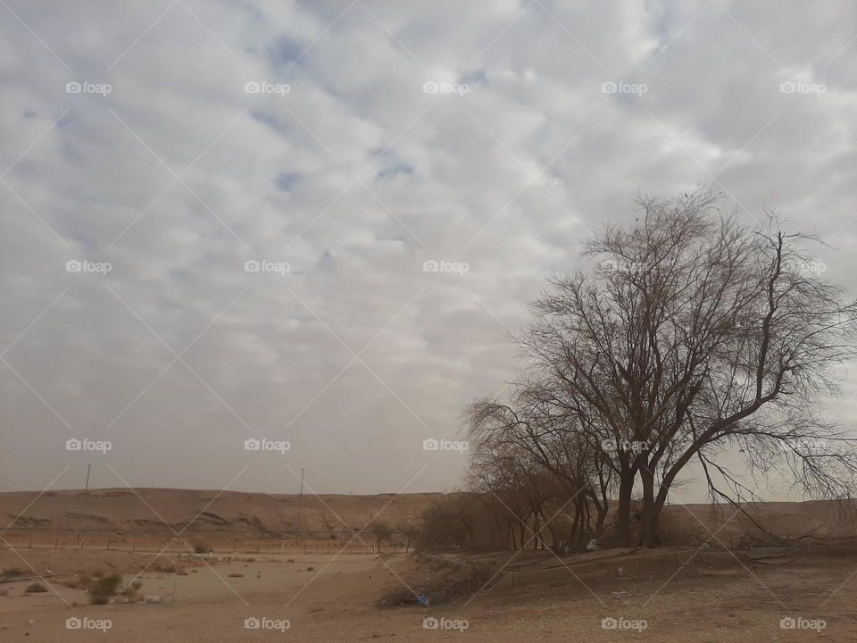 Please make me happy, I am poor, I need your help with support