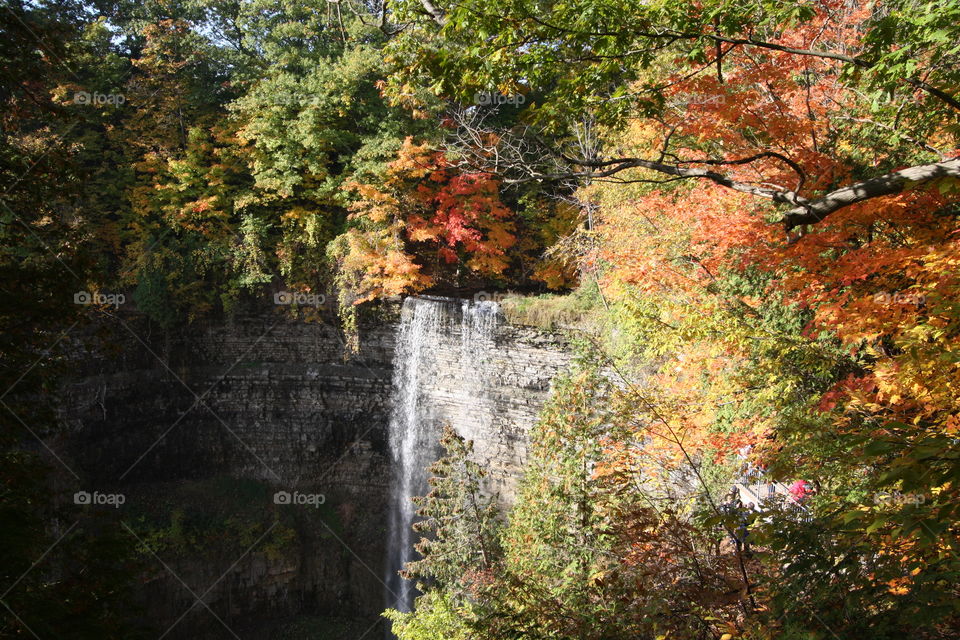 Scenic view on waterfall in autumn