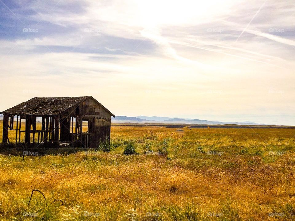 Nature reclaims what’s her’s in the rural.