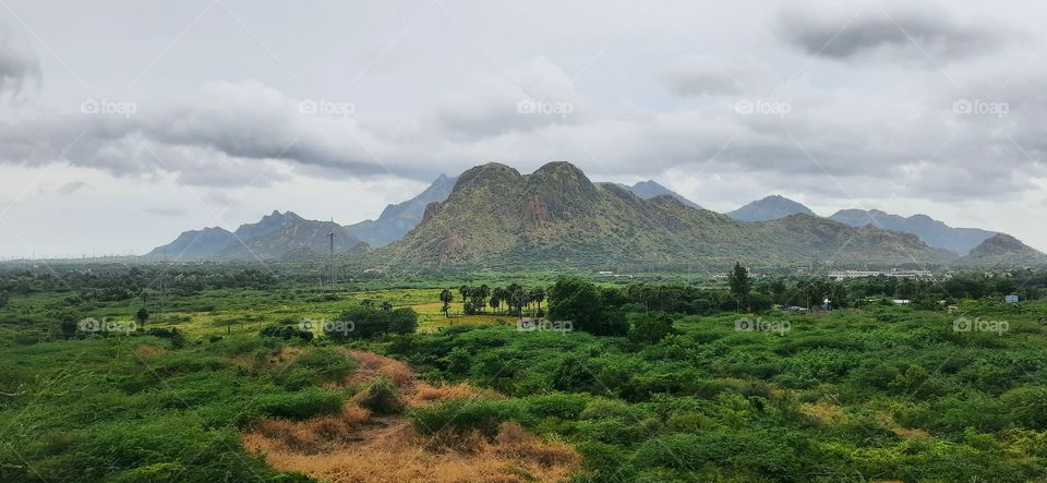 Top view of the forest and adventure
