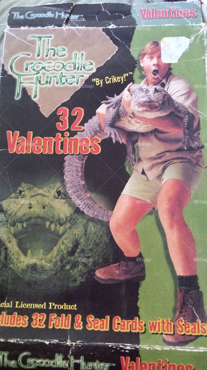 steve Erwin. crocodile Hunter