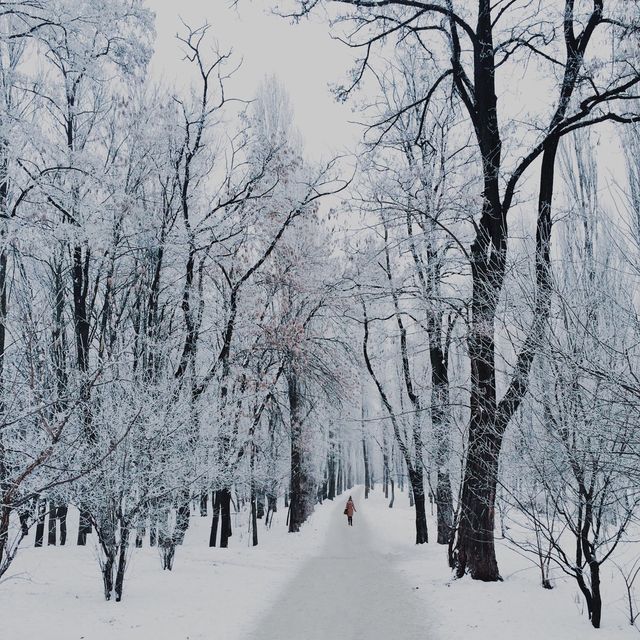 Winter in the city park