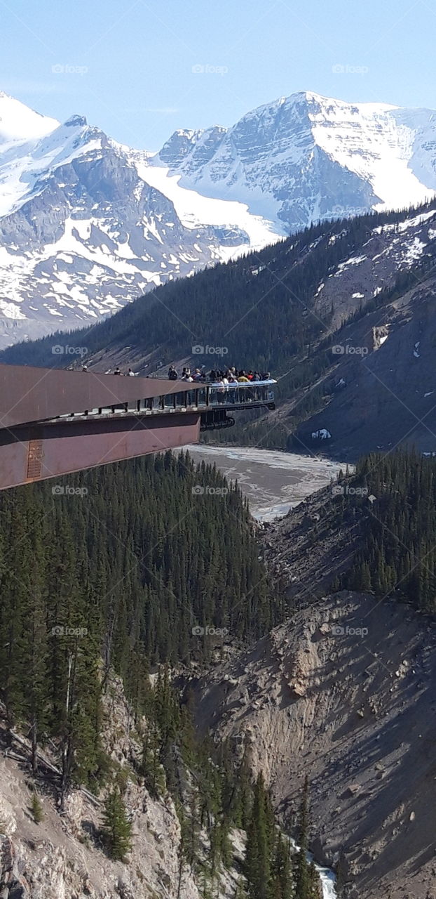 skywalk Columbia icefield