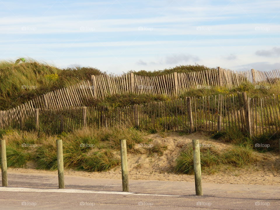 sand dune