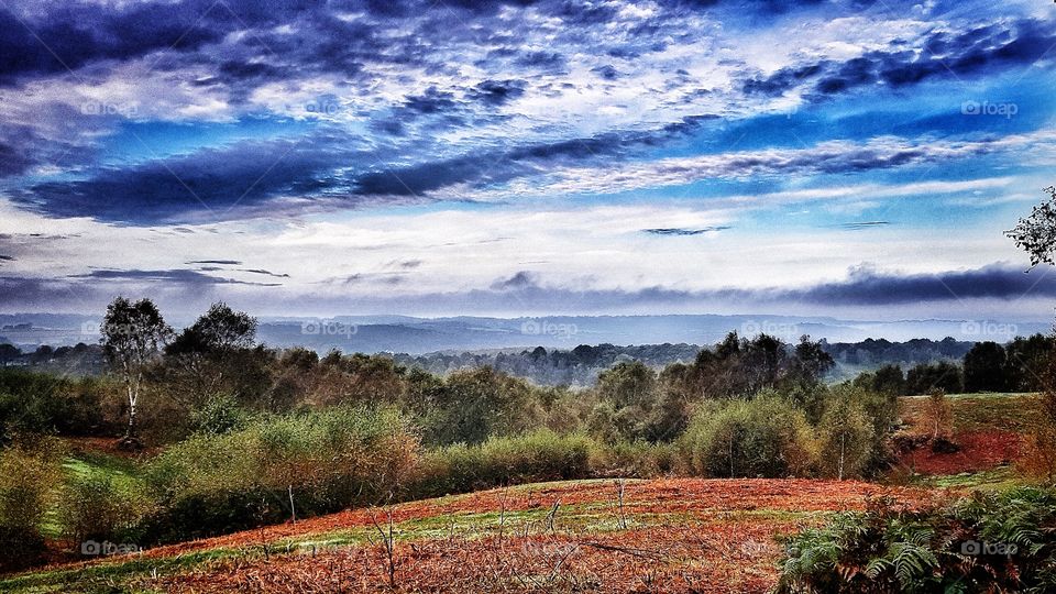 A misty Staffordshire countryside morning over heathland
