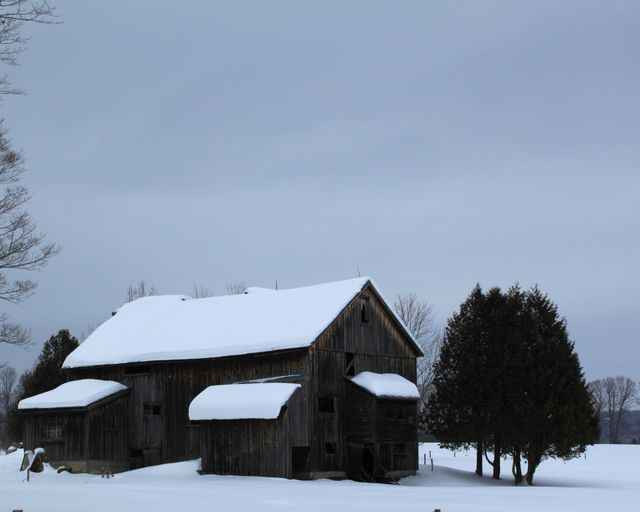 Winter blanket