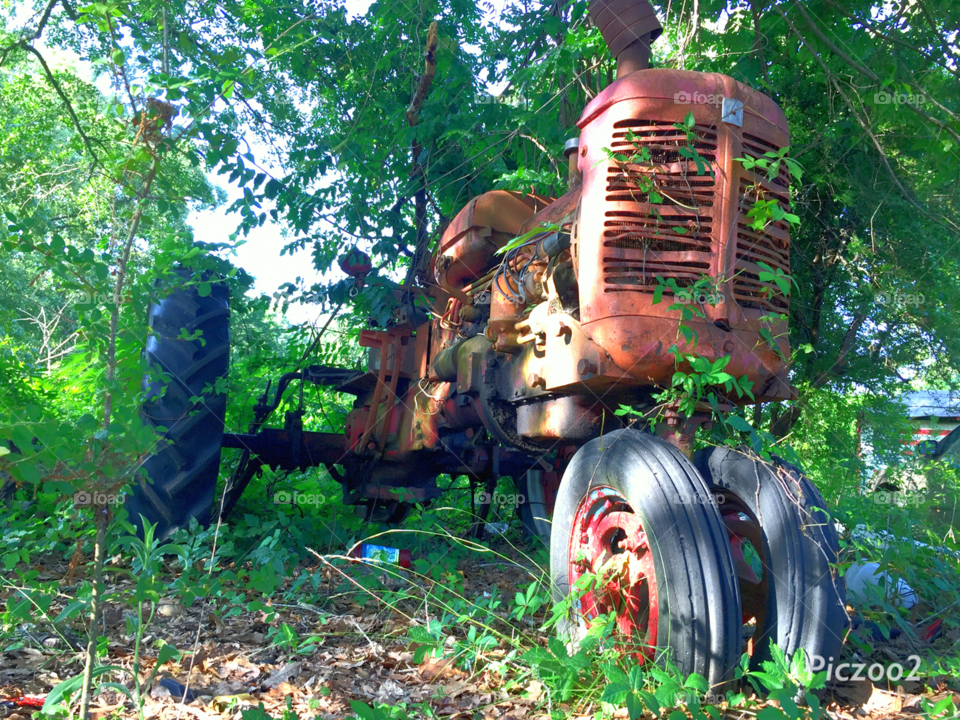 An old tractor longing to do what it was built for, but captured by nature’s grasp.