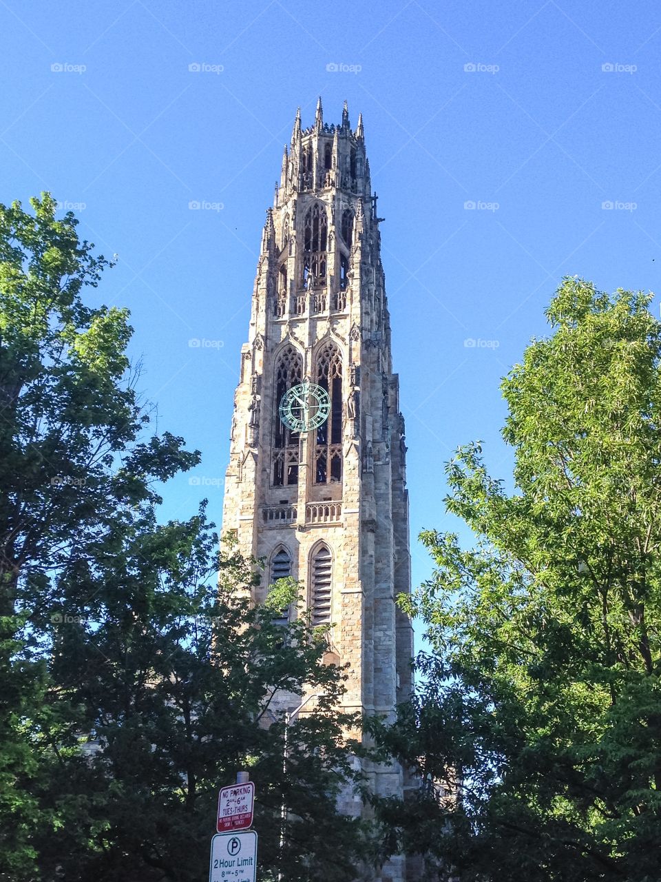 Harkness Tower and Trees