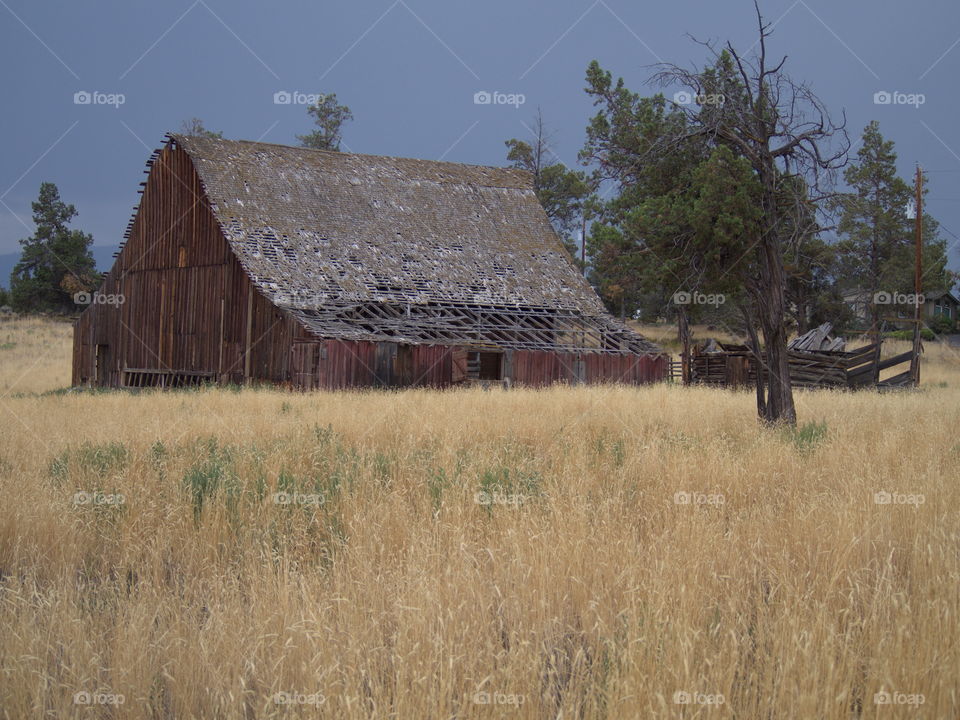 An old wooden red barn in a field with stormy gray skies in the background. 