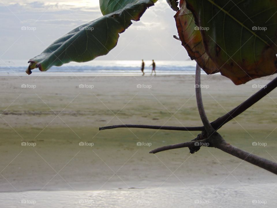 Florianópolis, Santa Catarina, Brasil