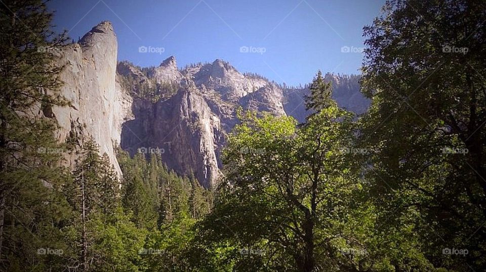 Yosemite national park