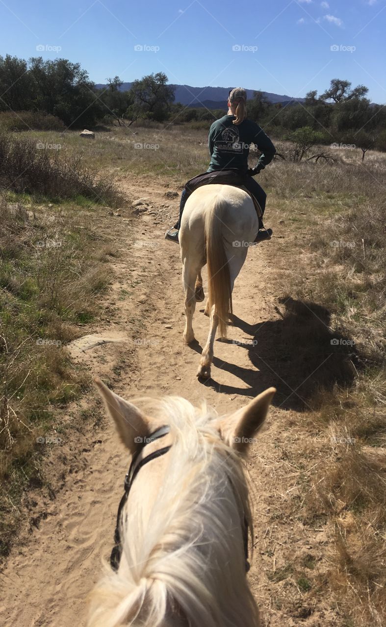 On the trail horseback 