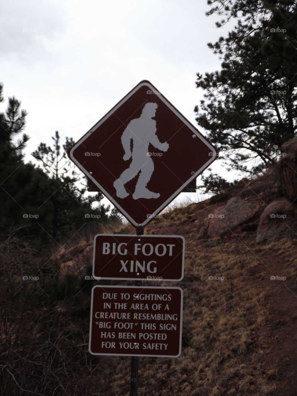 Colorado Pikes Peak Big Foot sign