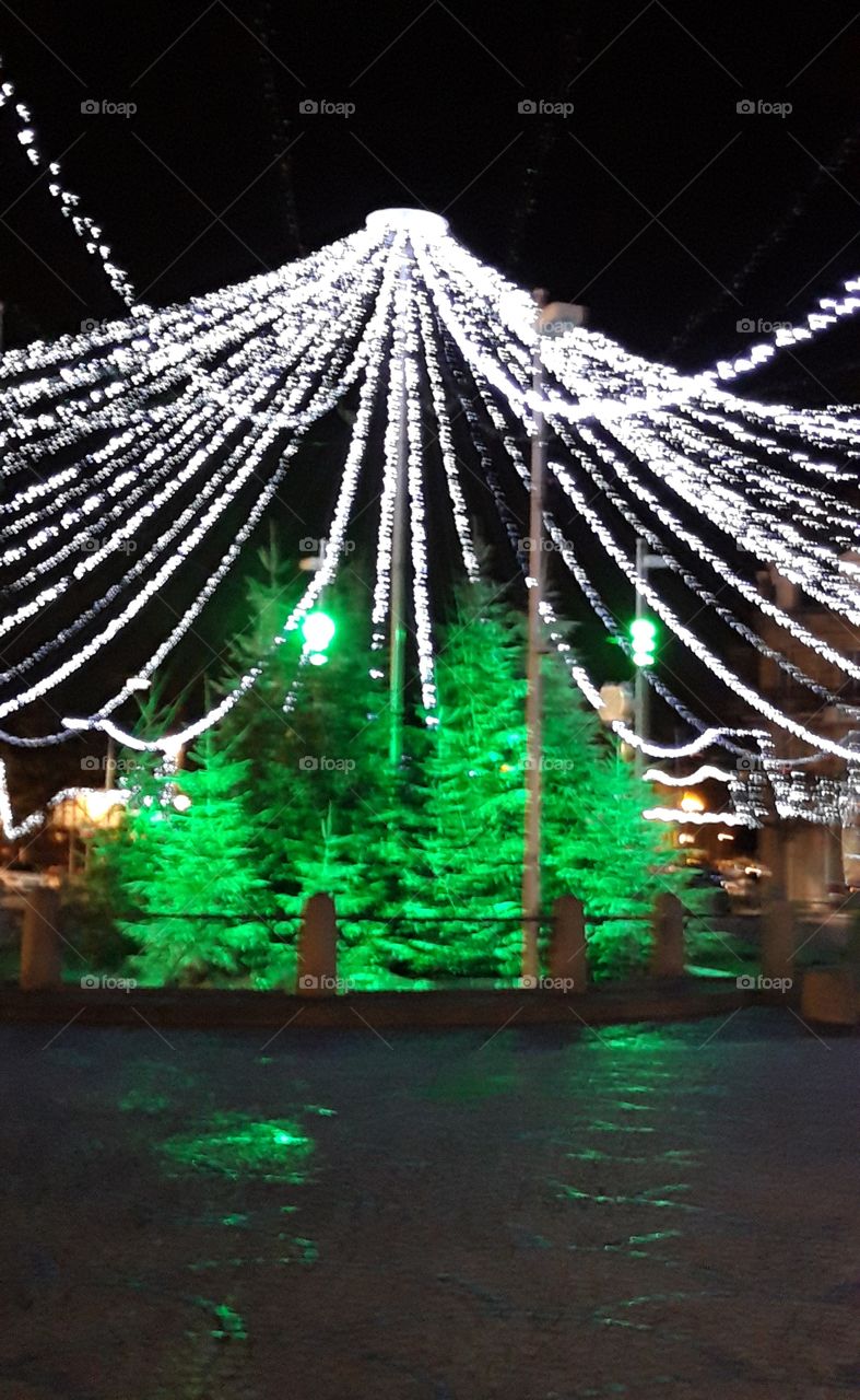 place Morny in Deauville at christmas