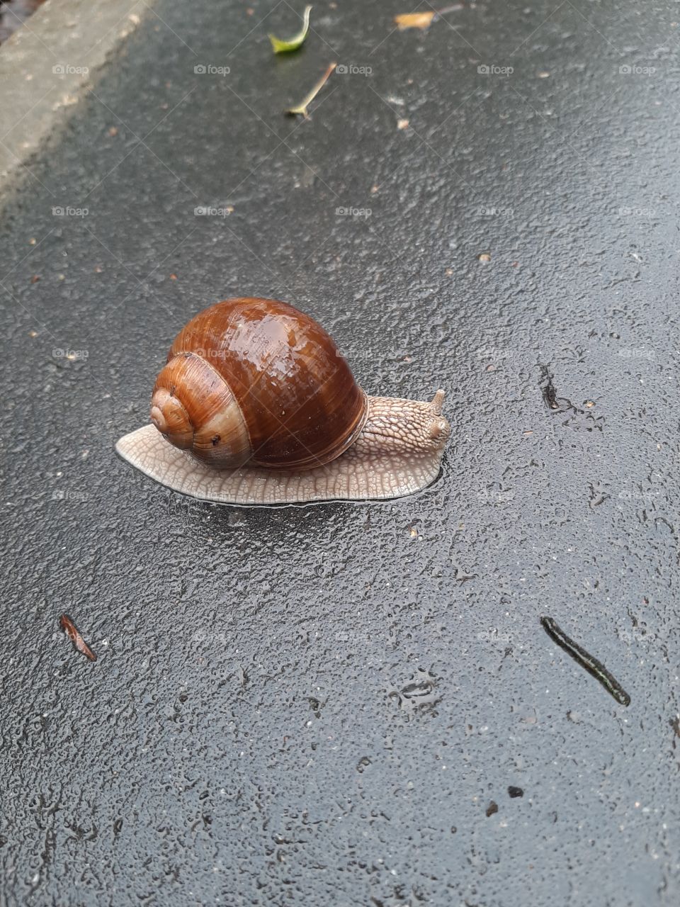 Ну   вы  меня   испугали!