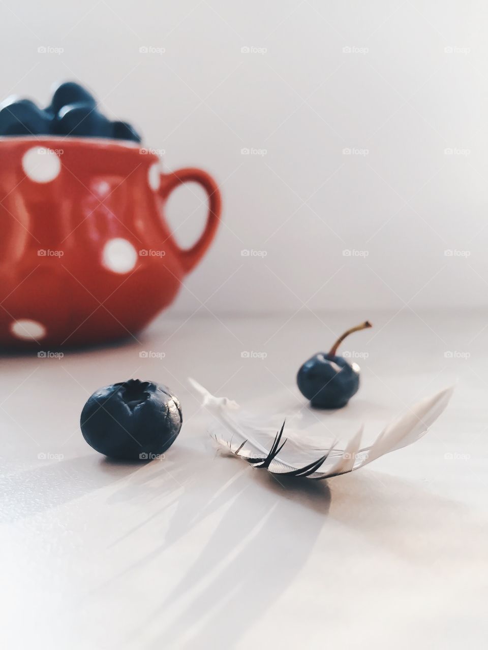 Blueberries and feather on the table. And red bowl with berries on the background 