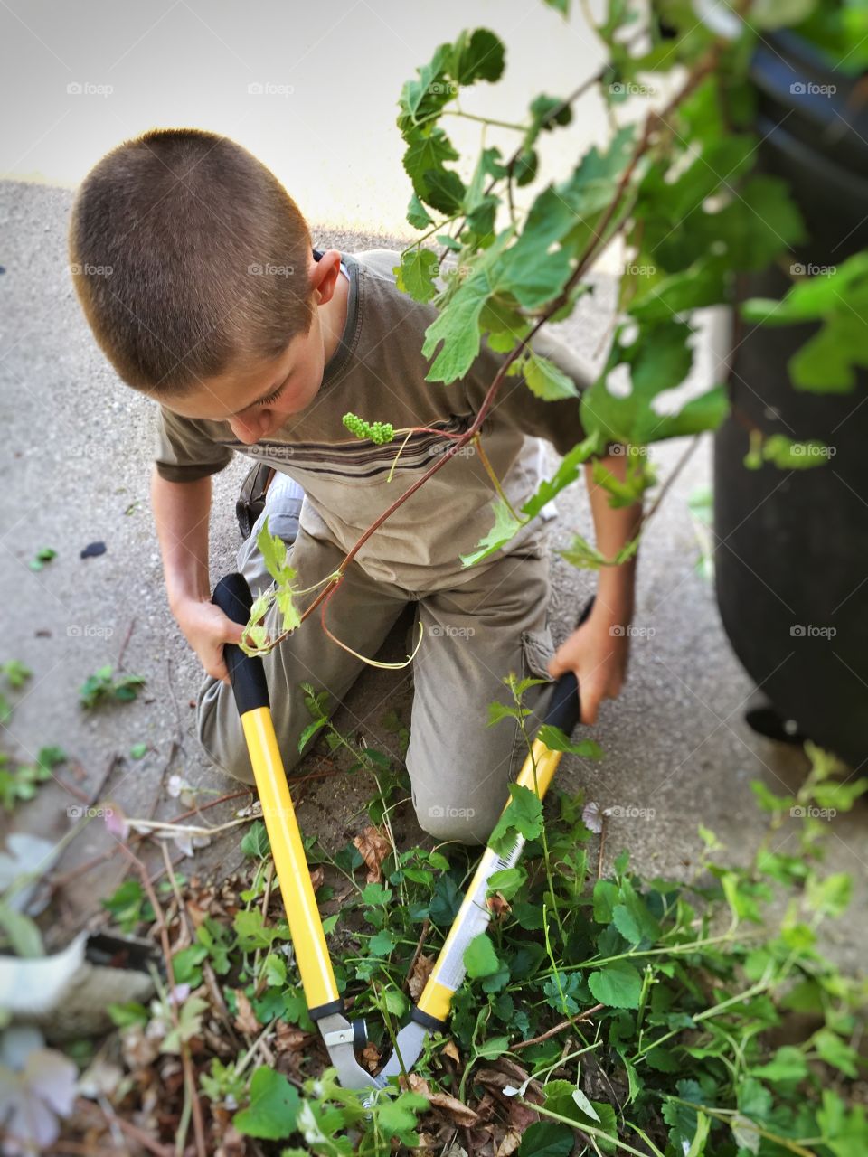 Garden Trimmer