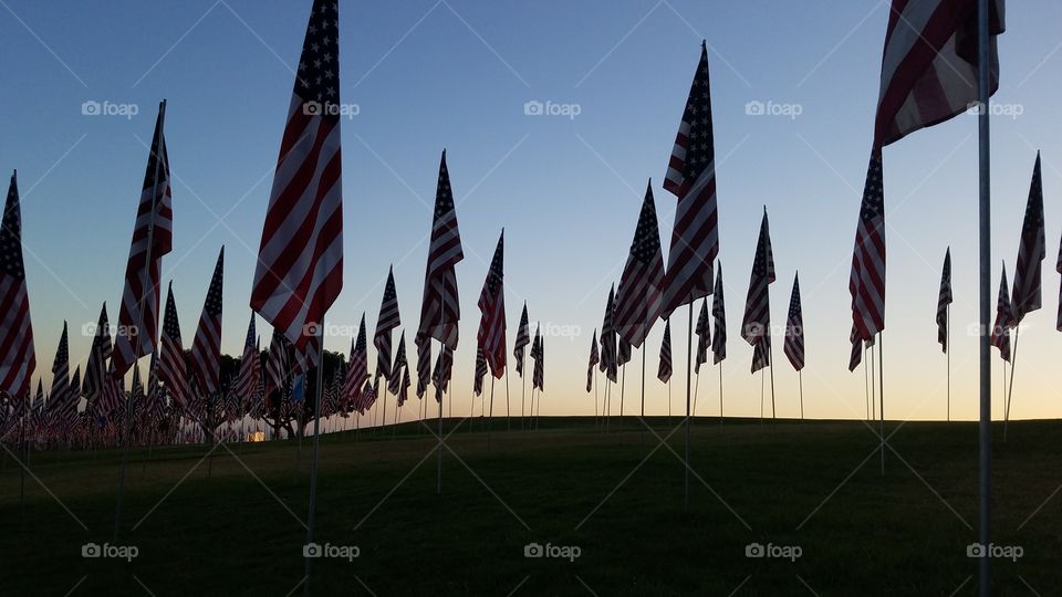 American Flags in Silhouette