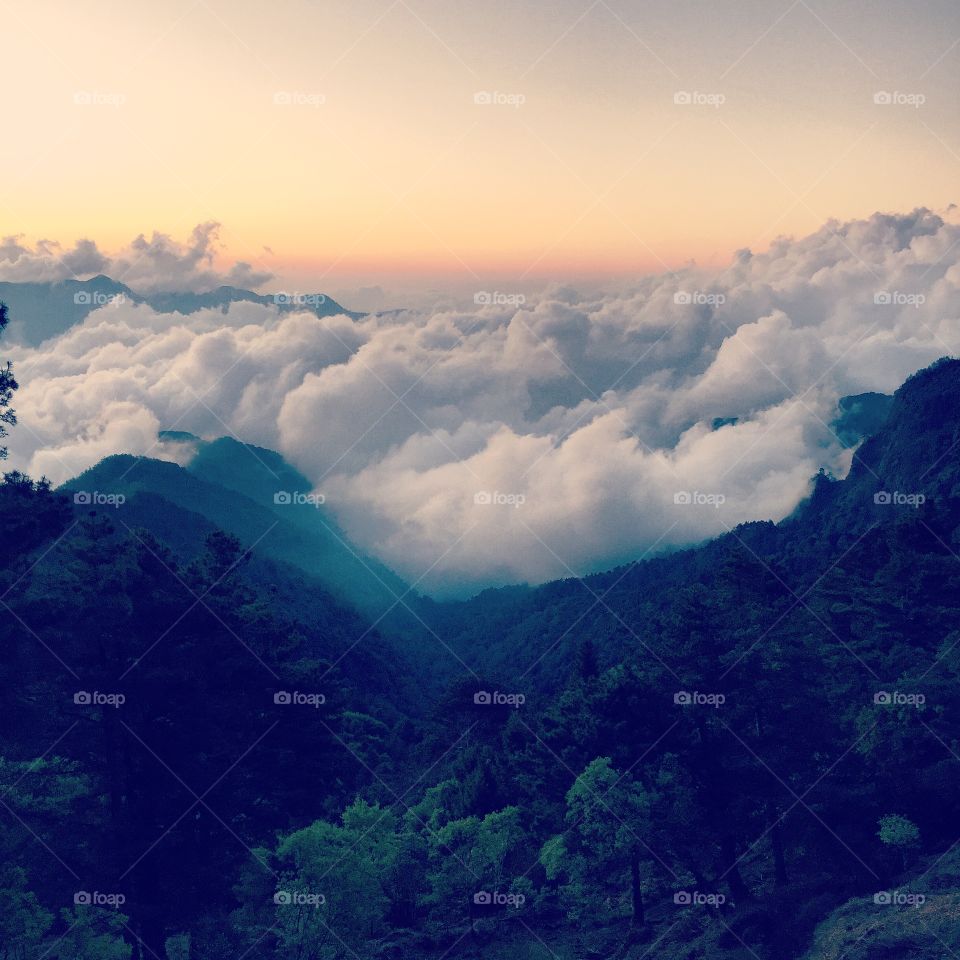 Ali mountain. Mountain of Alishan