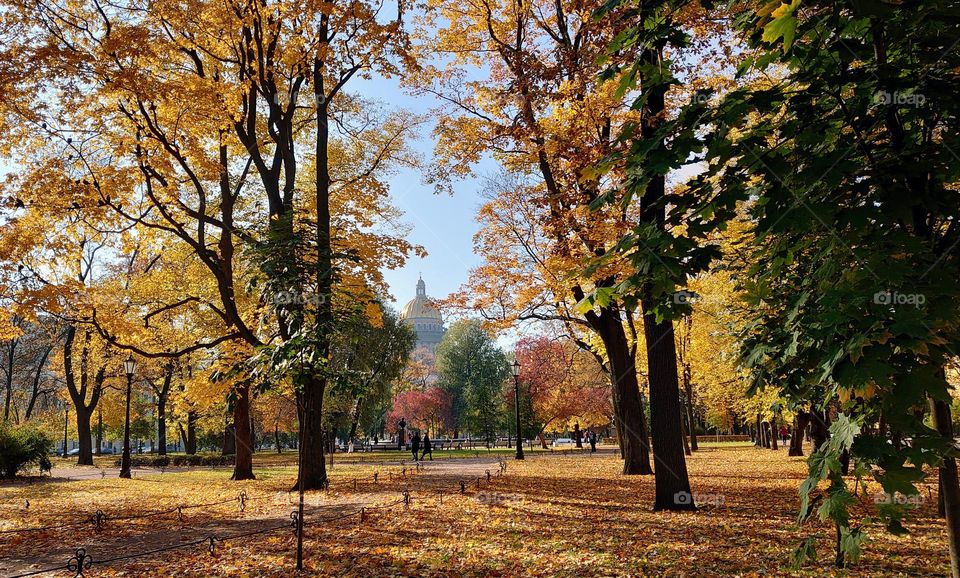 Have a nice walk 🍂🍁 Autumn landscape in the park🍂🍁