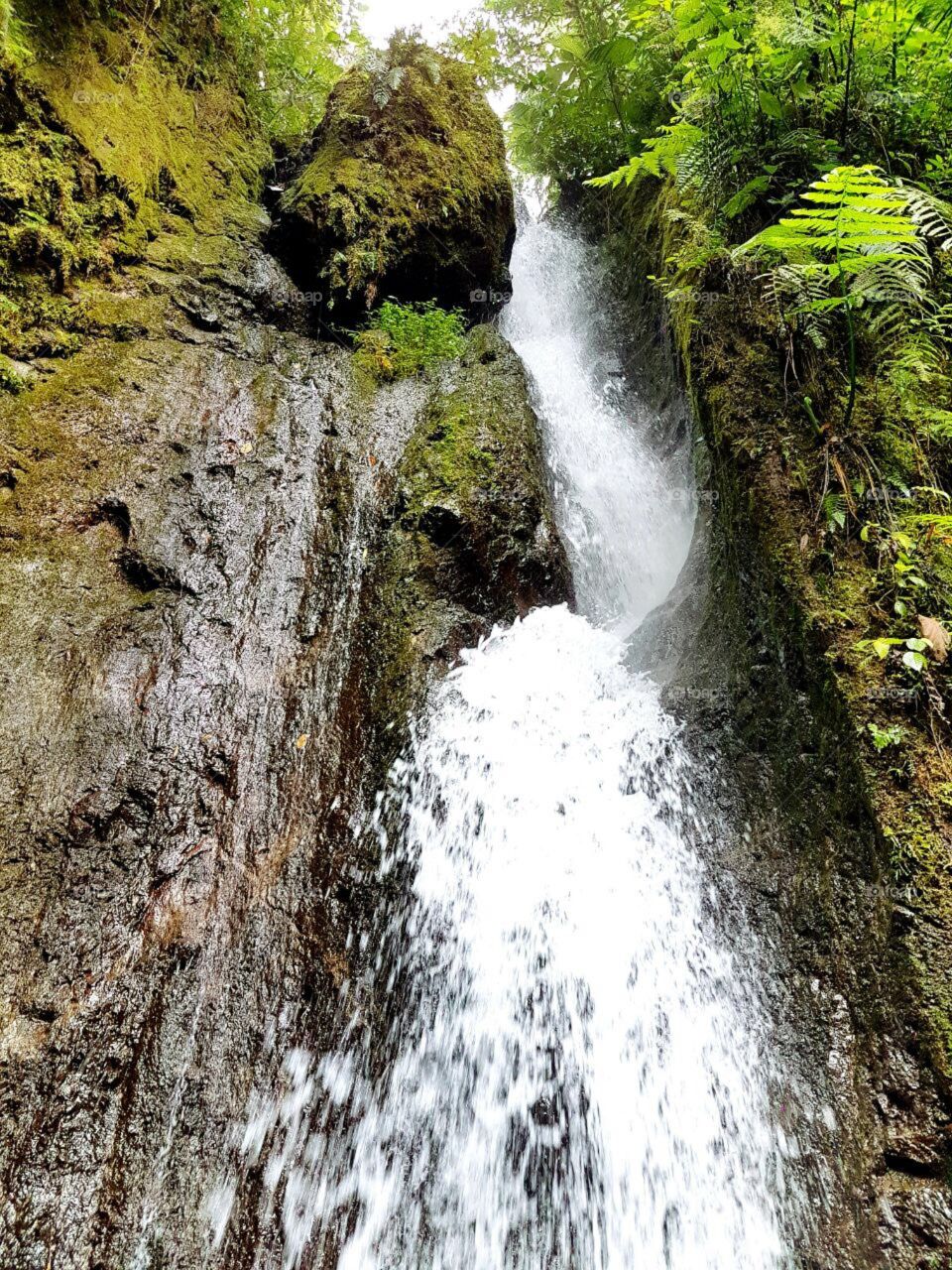 Bosque Eterno de los Niños Waterfall, Monteverde, Costa Rica