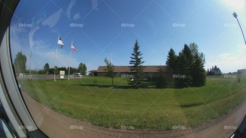 Tree, No Person, Landscape, Road, Grass