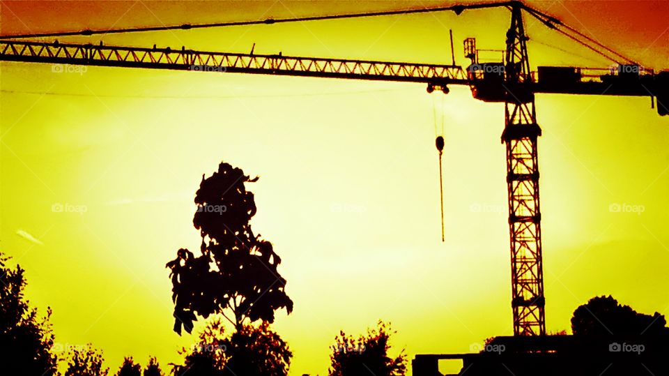 Crane on the construction site.