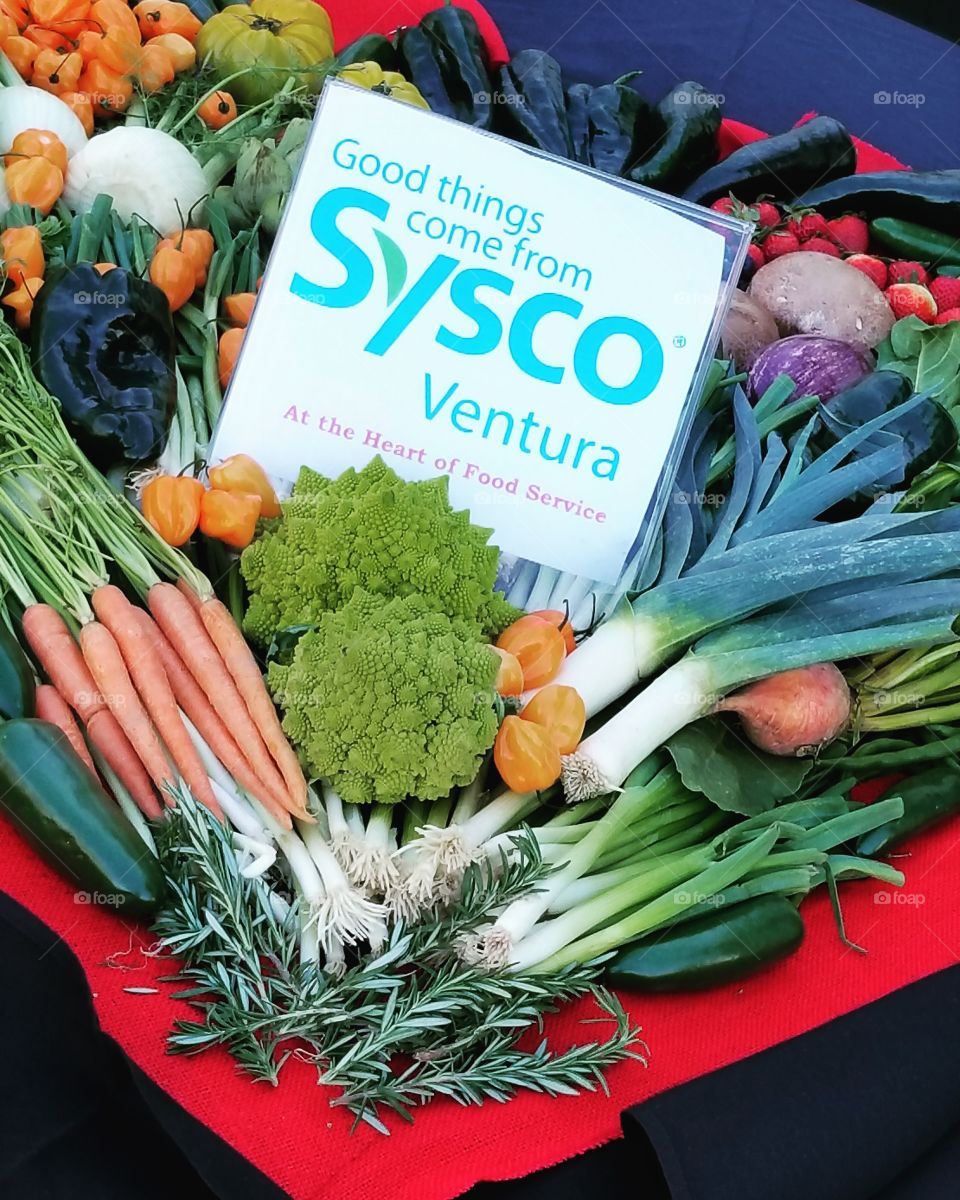 Sysco Ventura