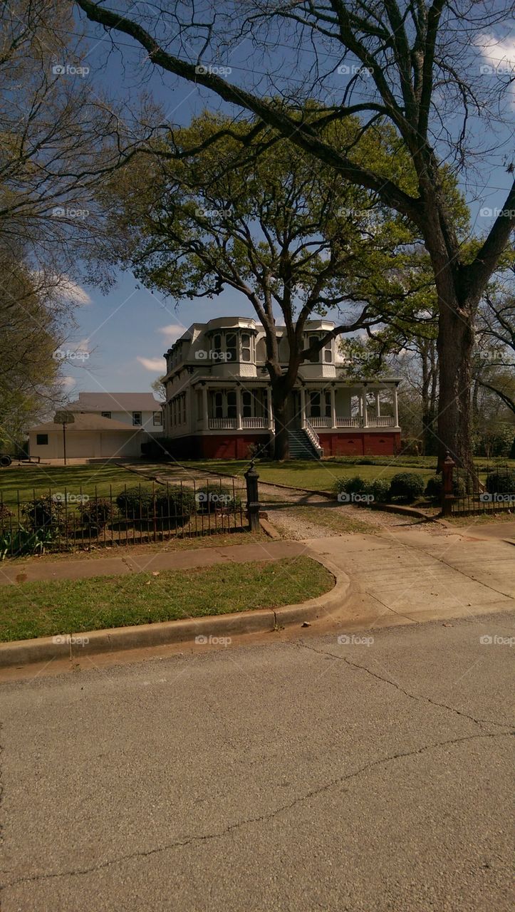 Tree, No Person, Architecture, Building, House