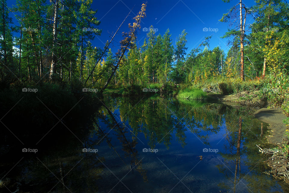 The rivers of Chukotka