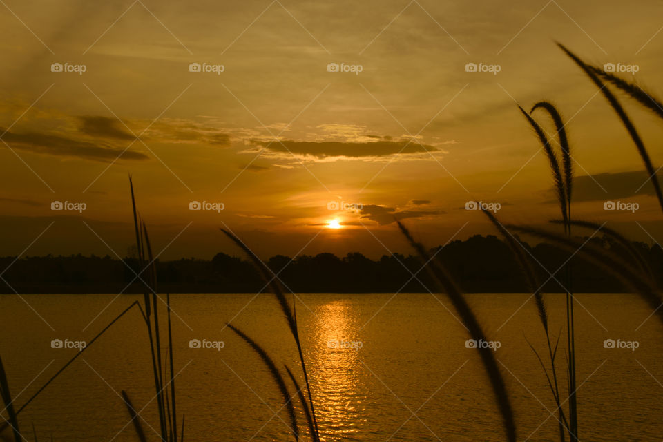 Nature sunset at the lake