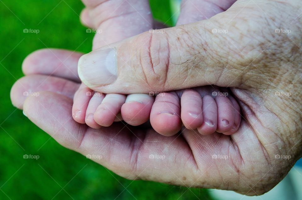 Close-up of baby's feet in grandparent's hands