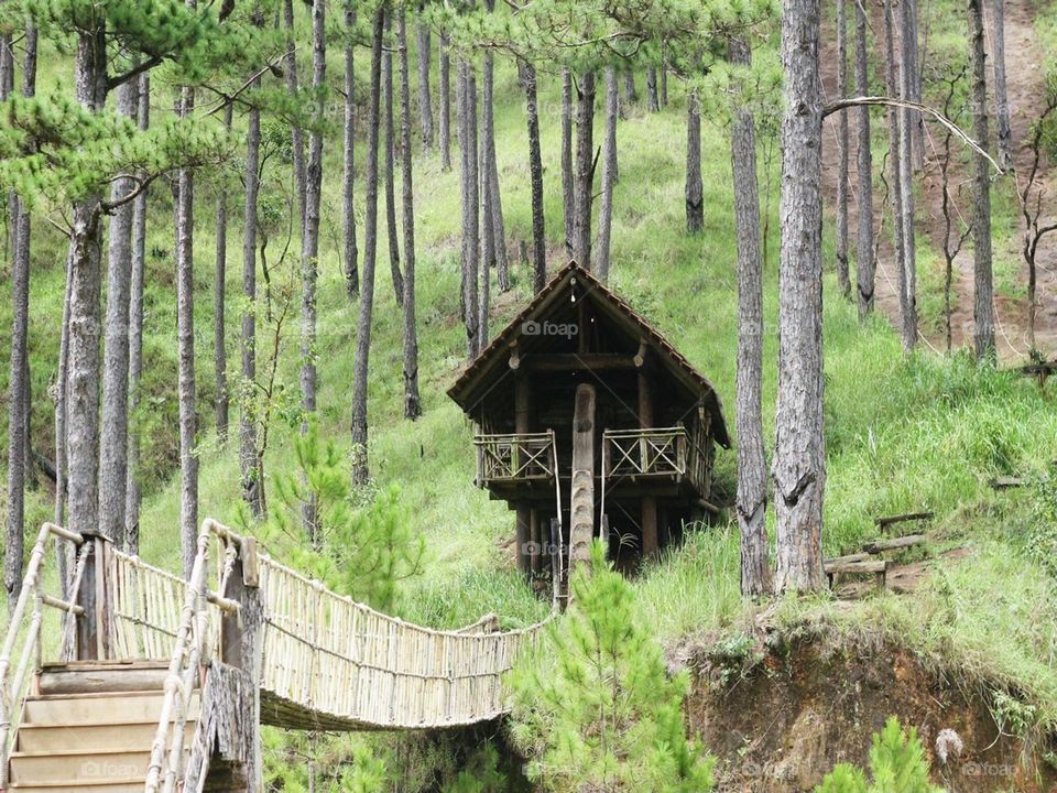 Stilt house