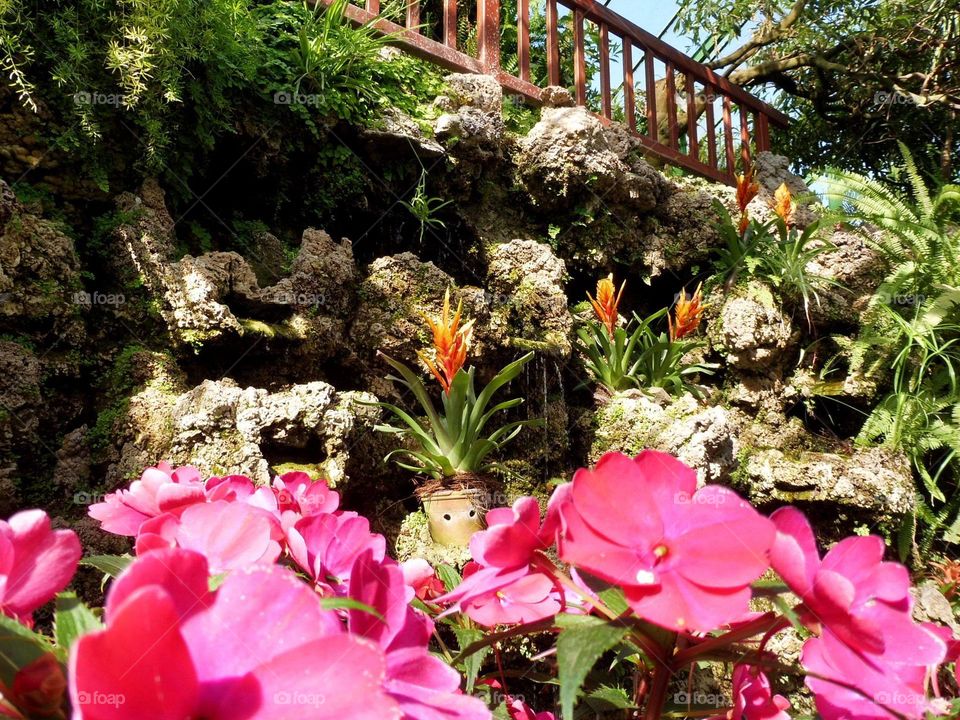 palm house in the city of Walbrzych in Poland