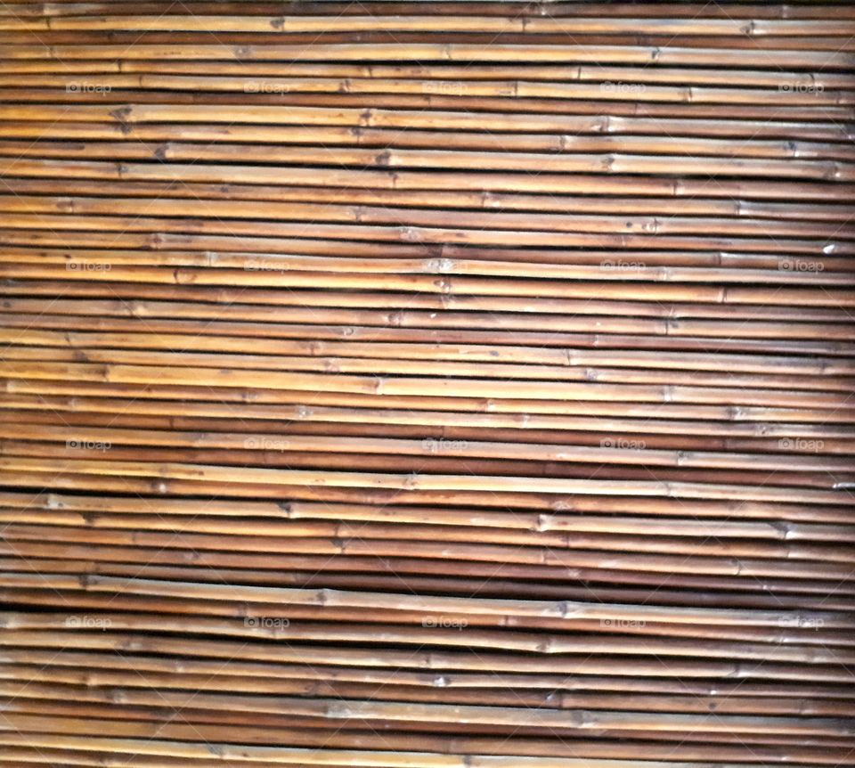 Bamboo texture