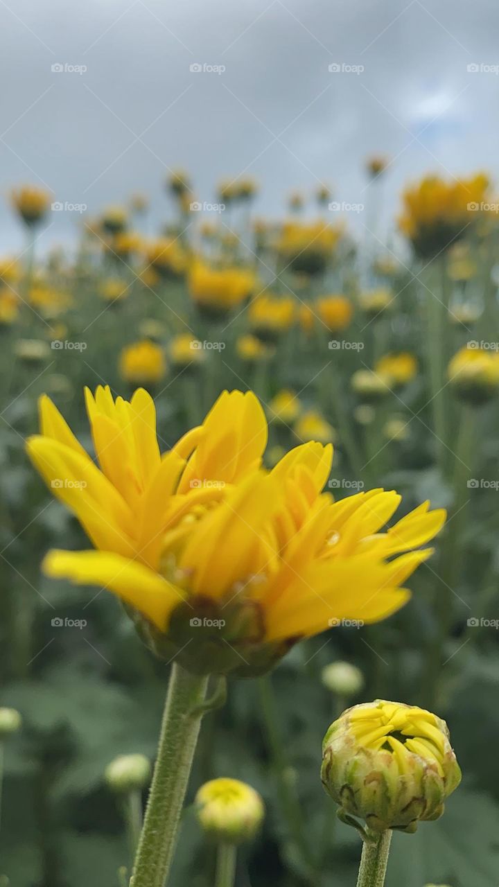 Mesmo parecendo todos iguais, todos temos detalhes que nos fazem únicos!!